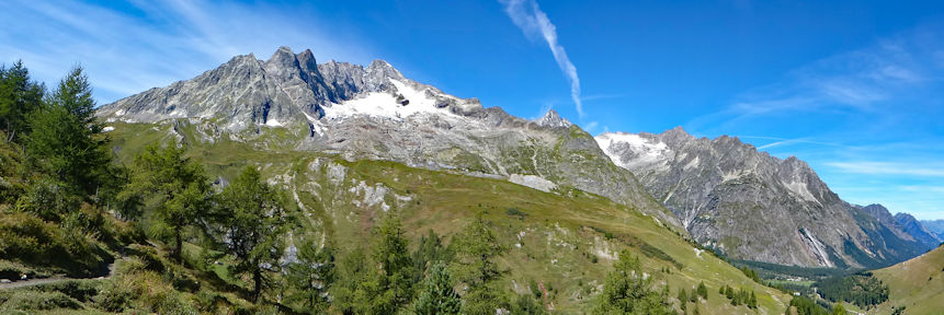 view